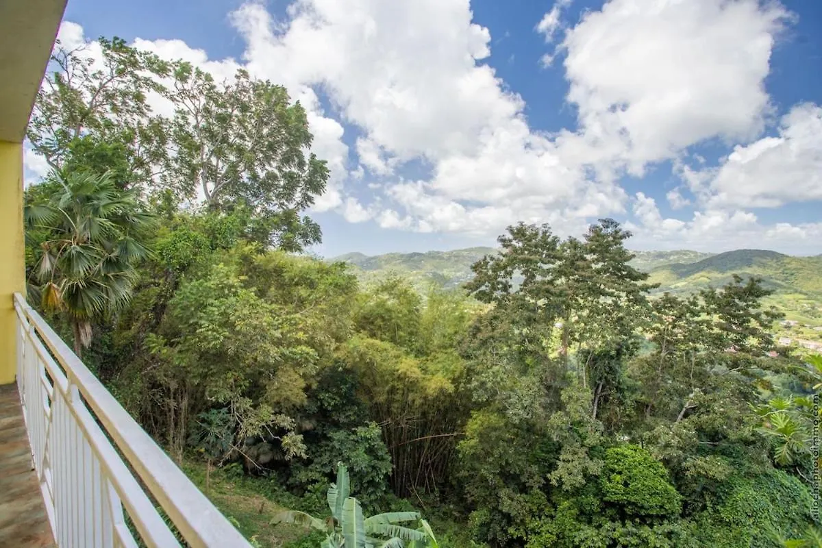 Evasion En Martinique Appartement Cosy Avec Balcon Et Vue Le Marin Martinica