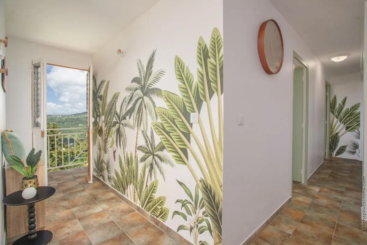 Evasion En Martinique Appartement Cosy Avec Balcon Et Vue Le Marin
